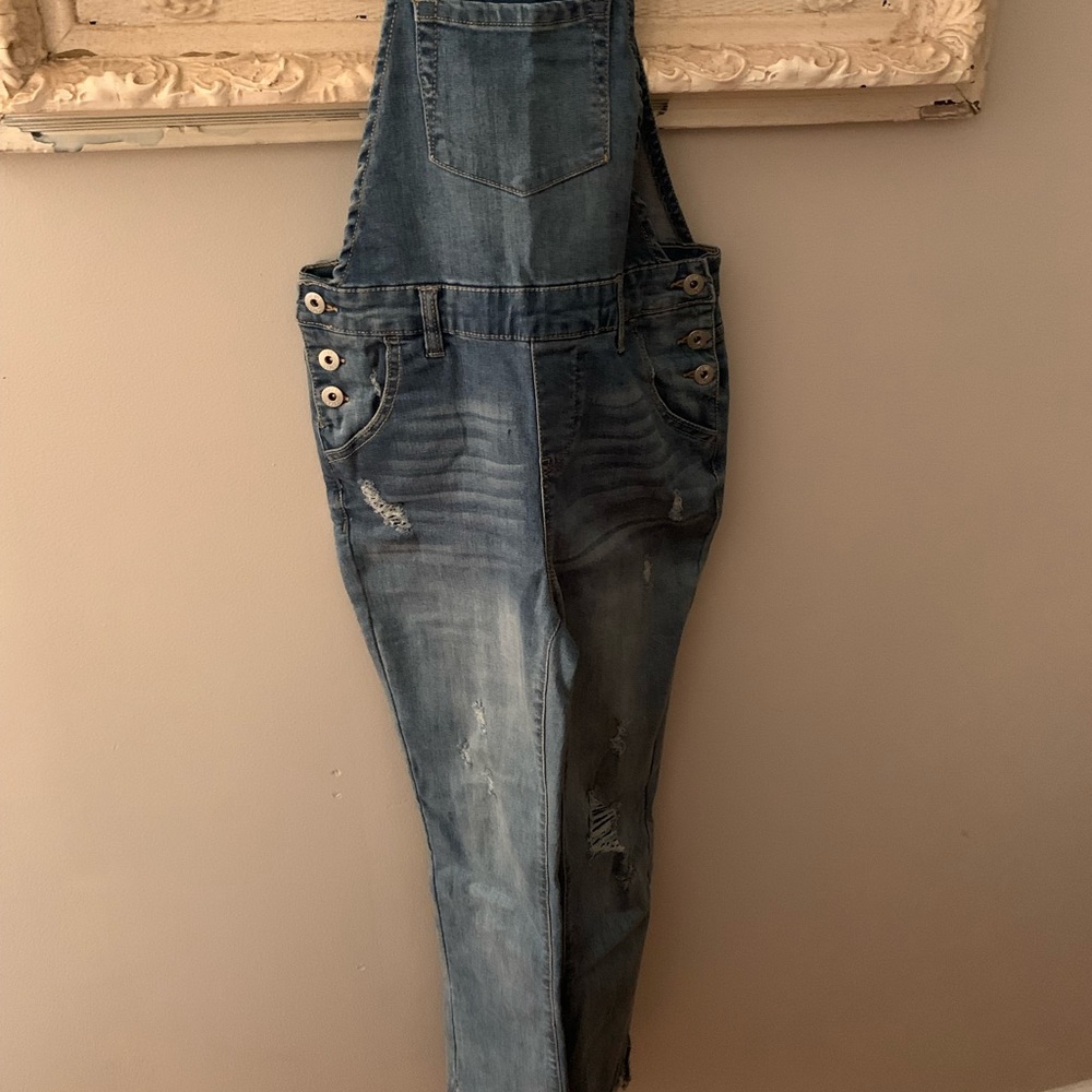 True craft skinny overalls